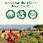 Moringa Capsules – Superfood for Energy