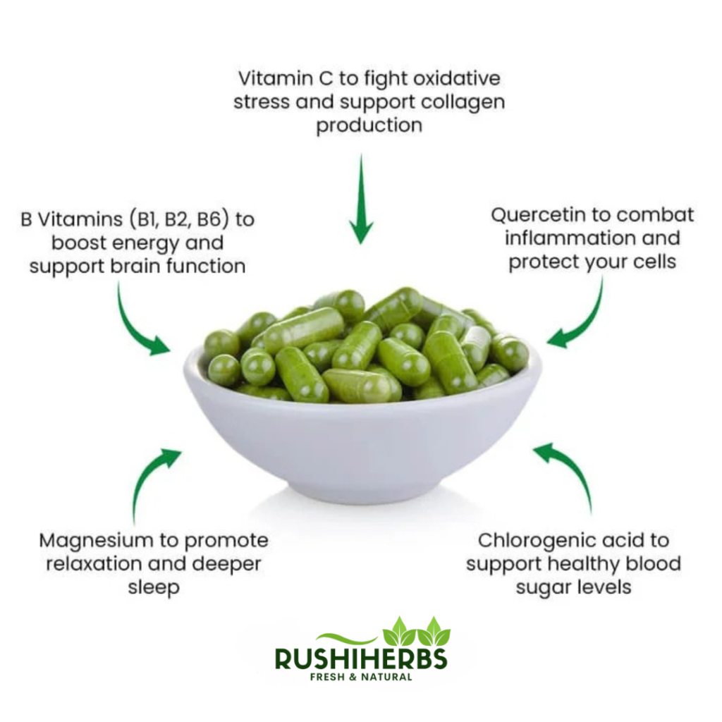 Rushi Herbs Moringa