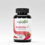 Rushi Herbs Berberine+ with Ceylon Cinnamon – 1200 mg – Advanced Blood Sugar, Heart & Metabolic Support – Healthy Weight & Insulin Function – 60 Vegan Capsules
