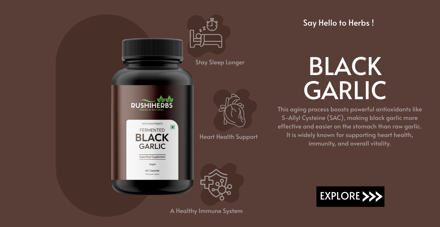 This aging process boosts powerful antioxidants like S-Allyl Cysteine (SAC), making black garlic more effective and easier on the stomach than raw garlic. It is widely known for supporting heart health, immunity, and overall vitality.